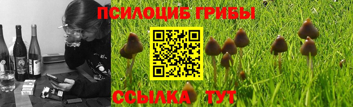 Галлюциногенные грибы мицелий Валуйки
